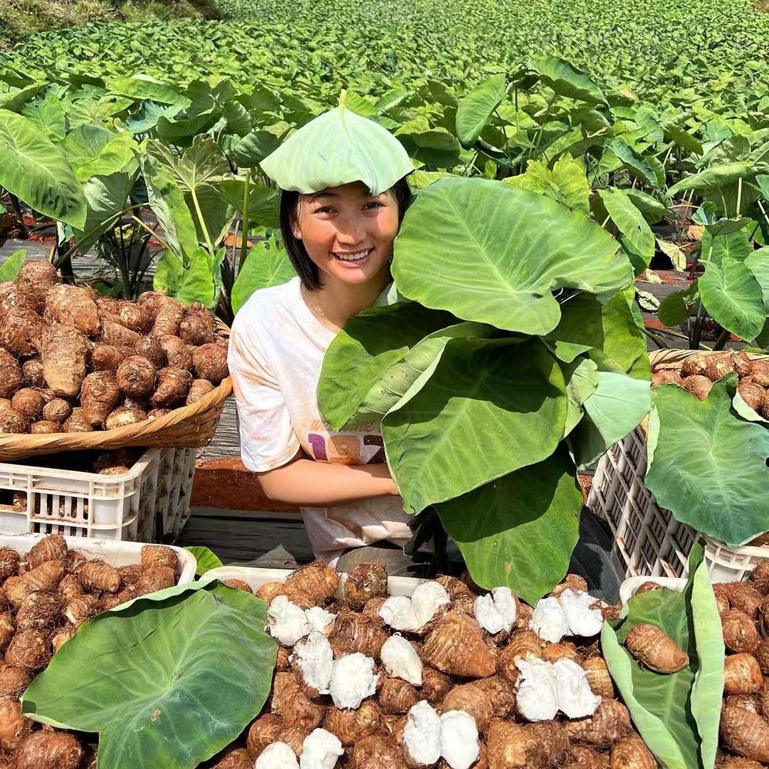 优选生鲜好物