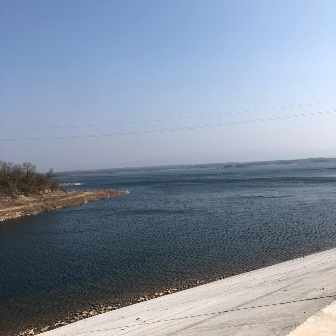 刘氏散养土鸡蛋