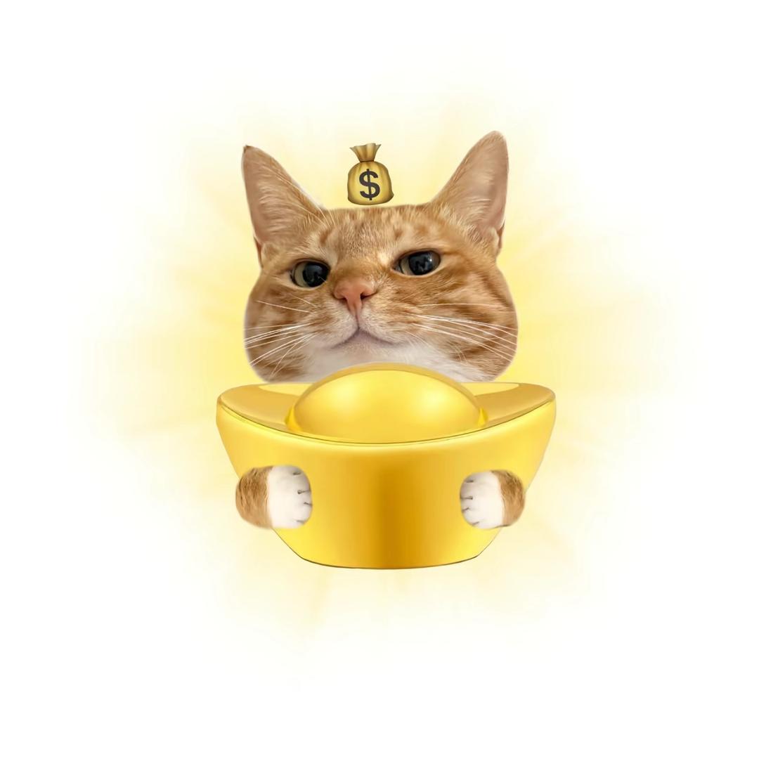 小猫。