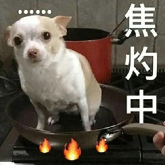 猴子大屁屁