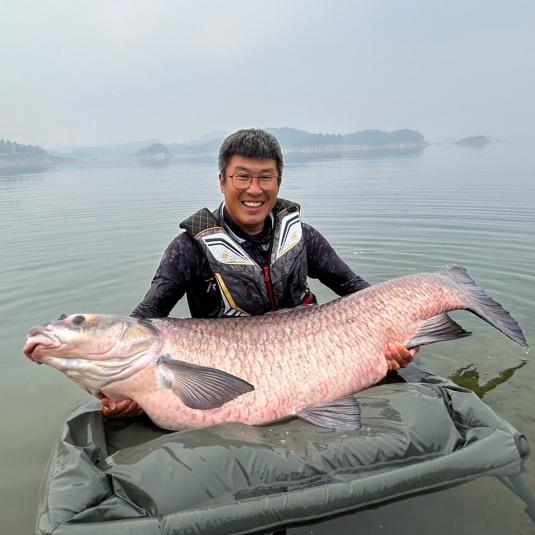 杨永财钓鱼🎣(辰羽欧式鲤钓)