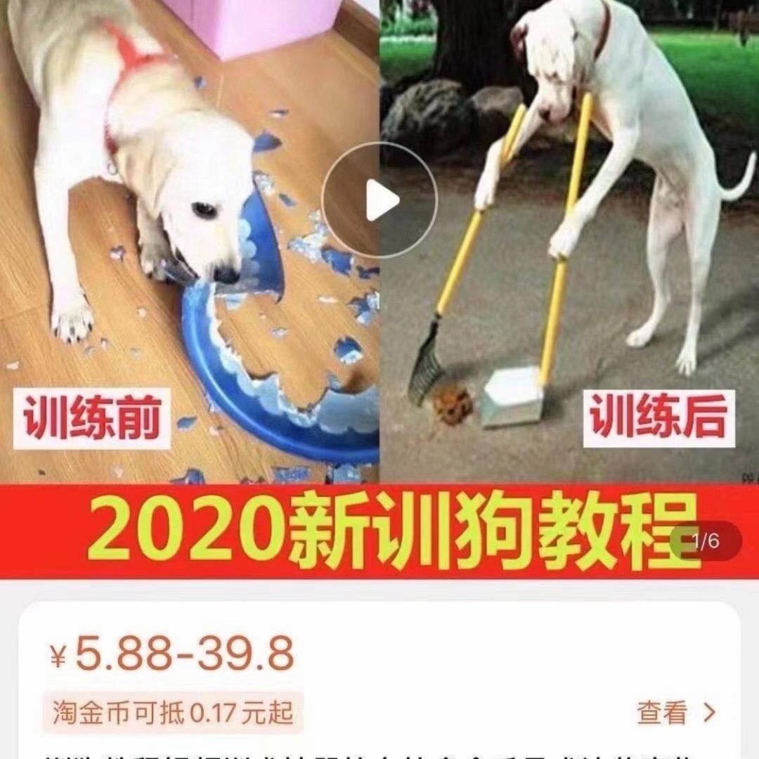 Veyraze风啸云