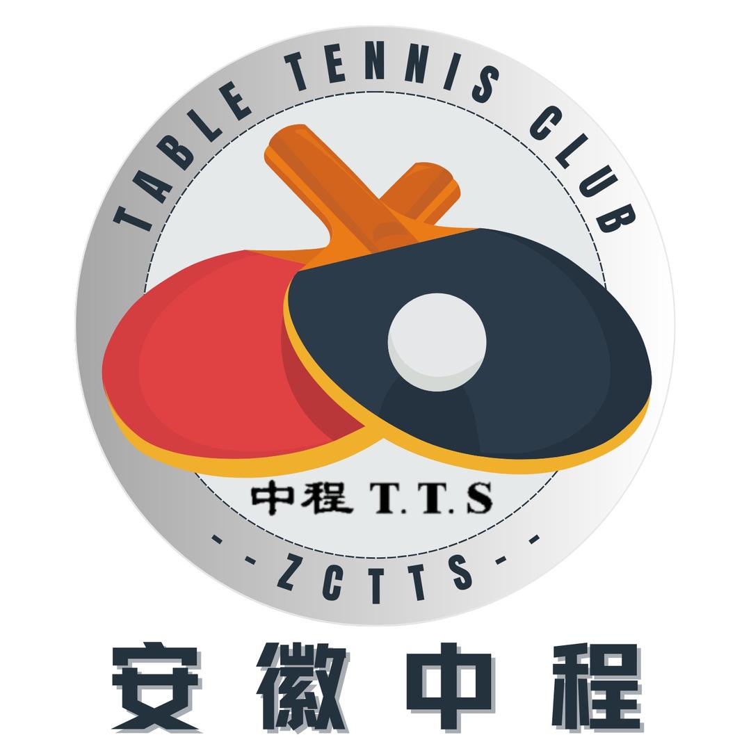 安徽中程乒乓球俱乐部有限公司