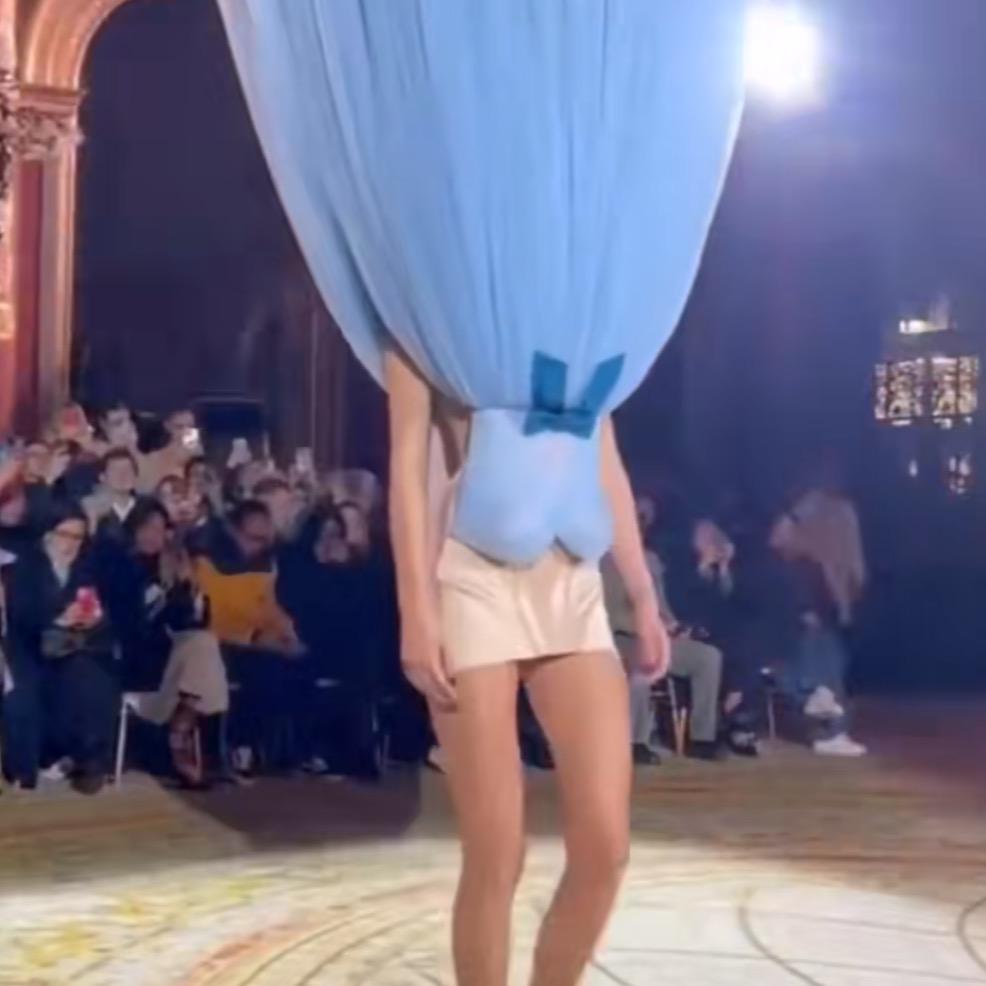 是小鱼嗷（INFP-T版）