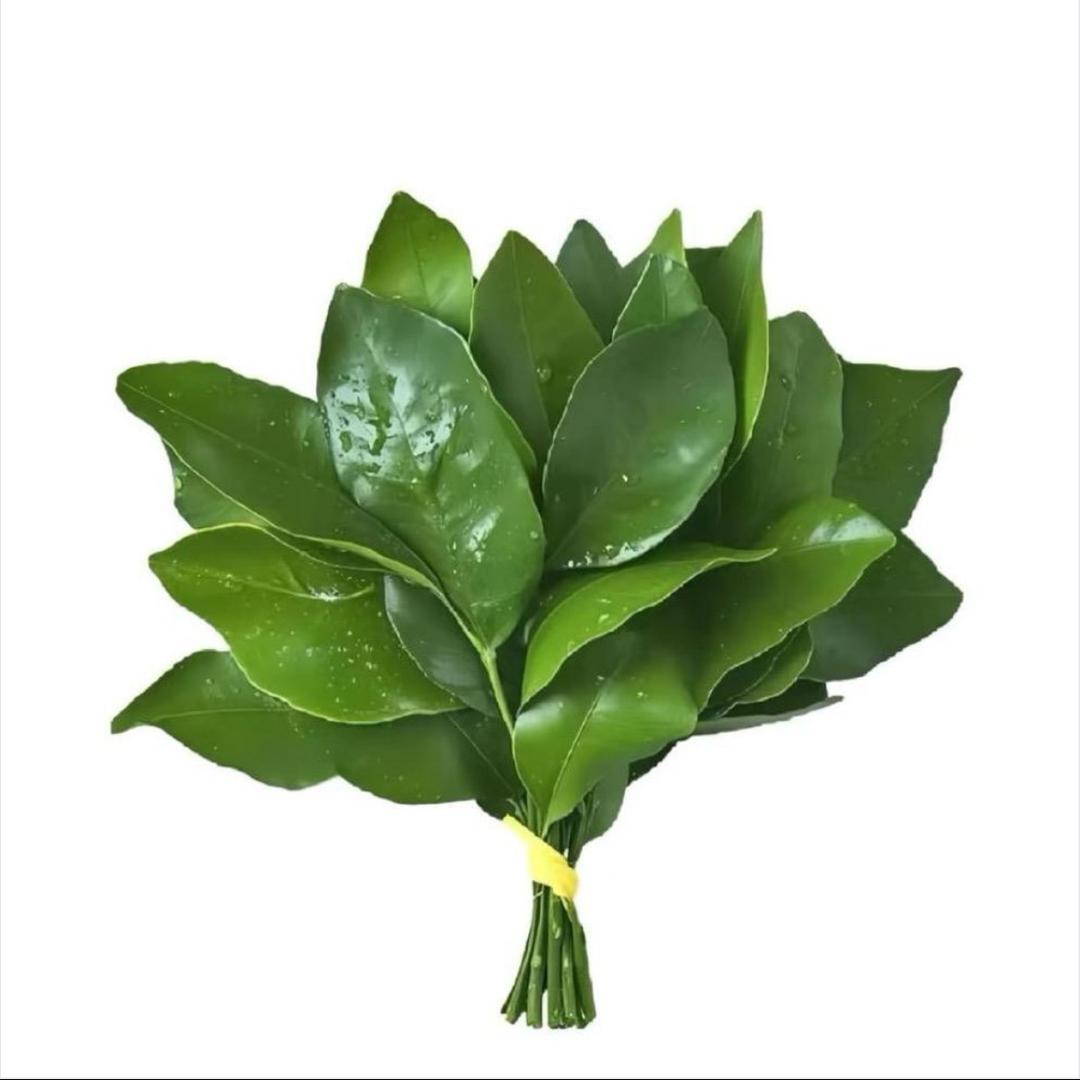 小米不练腿💃💪📷