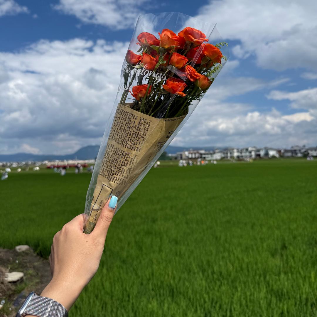 壳与你