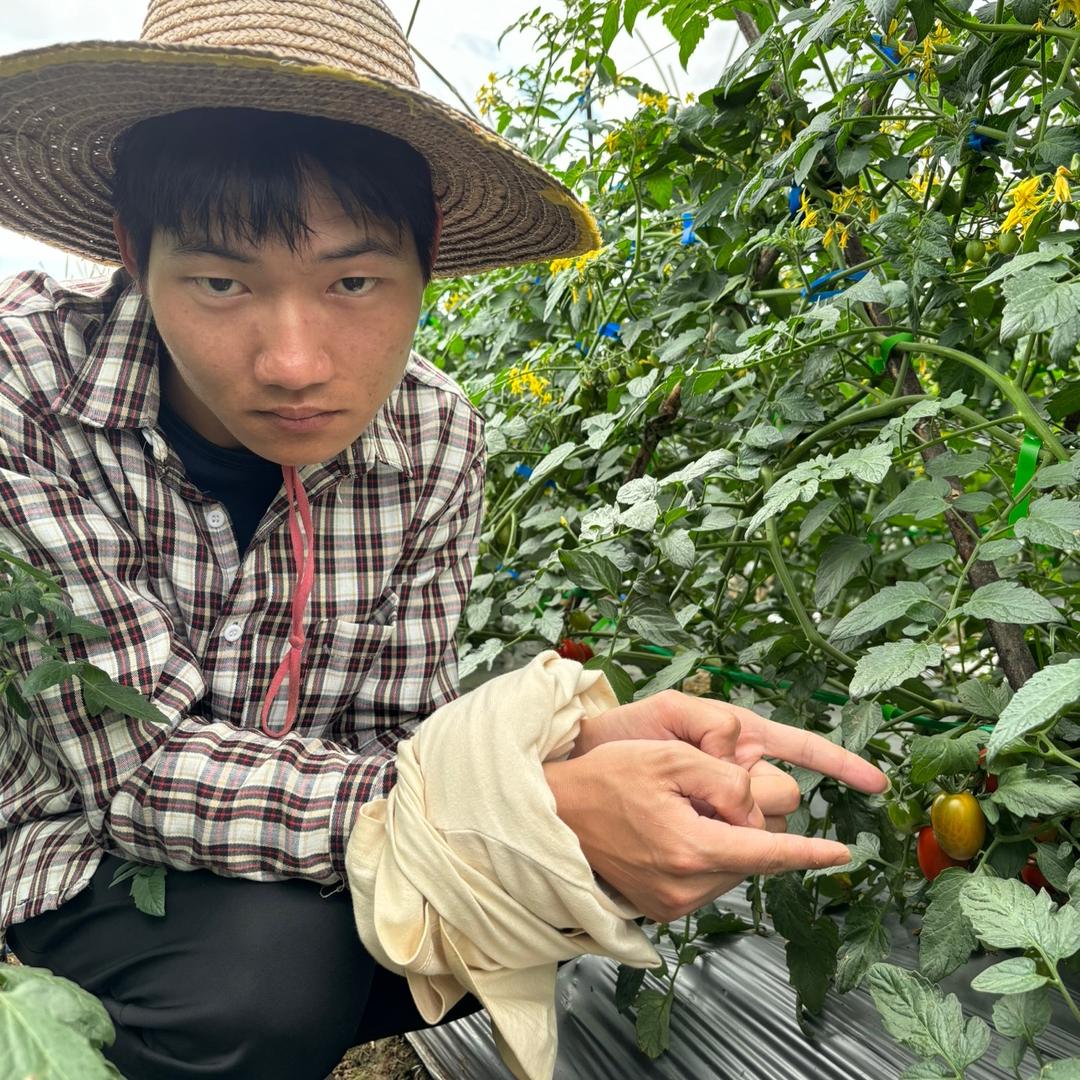 农村去哪儿