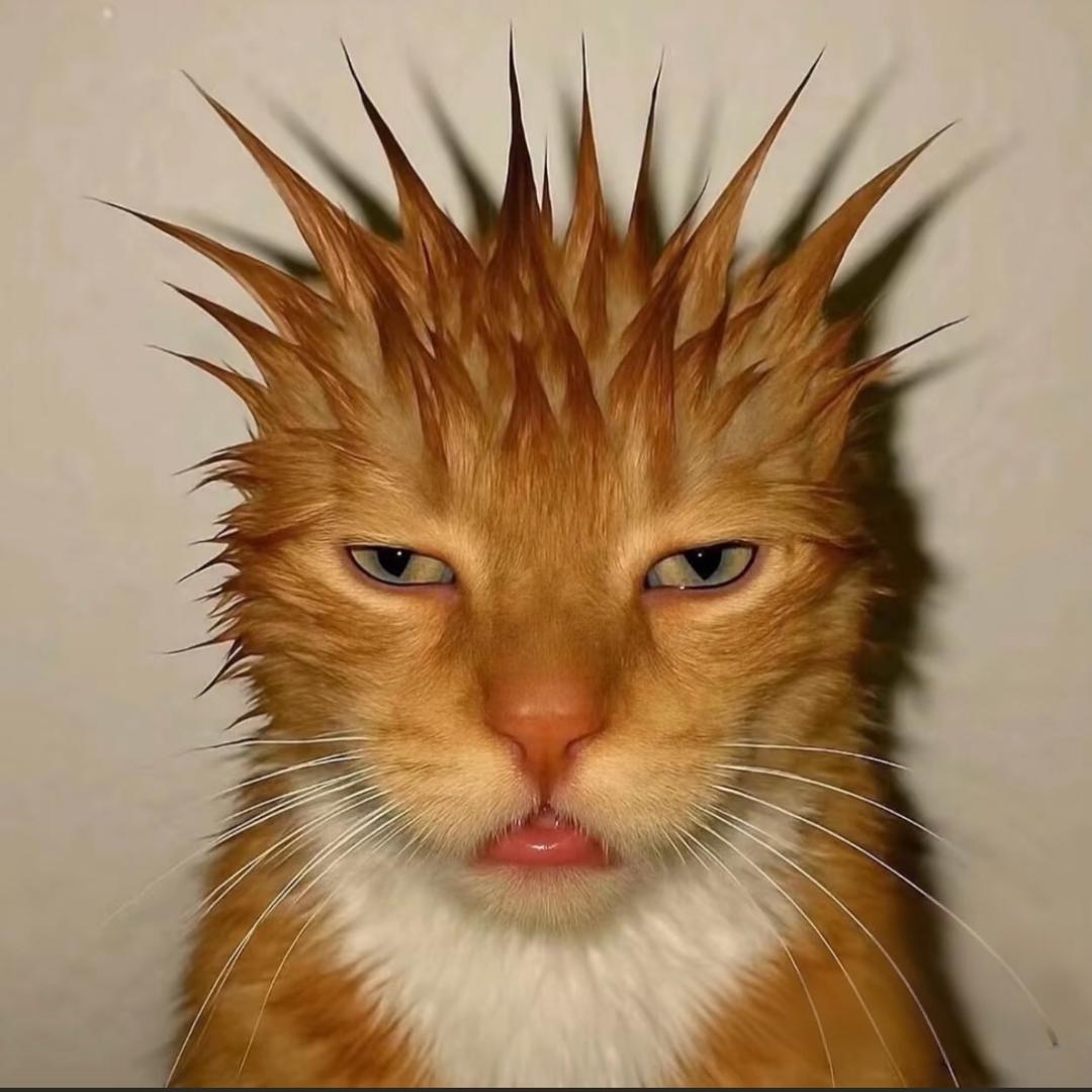 ·楠木·