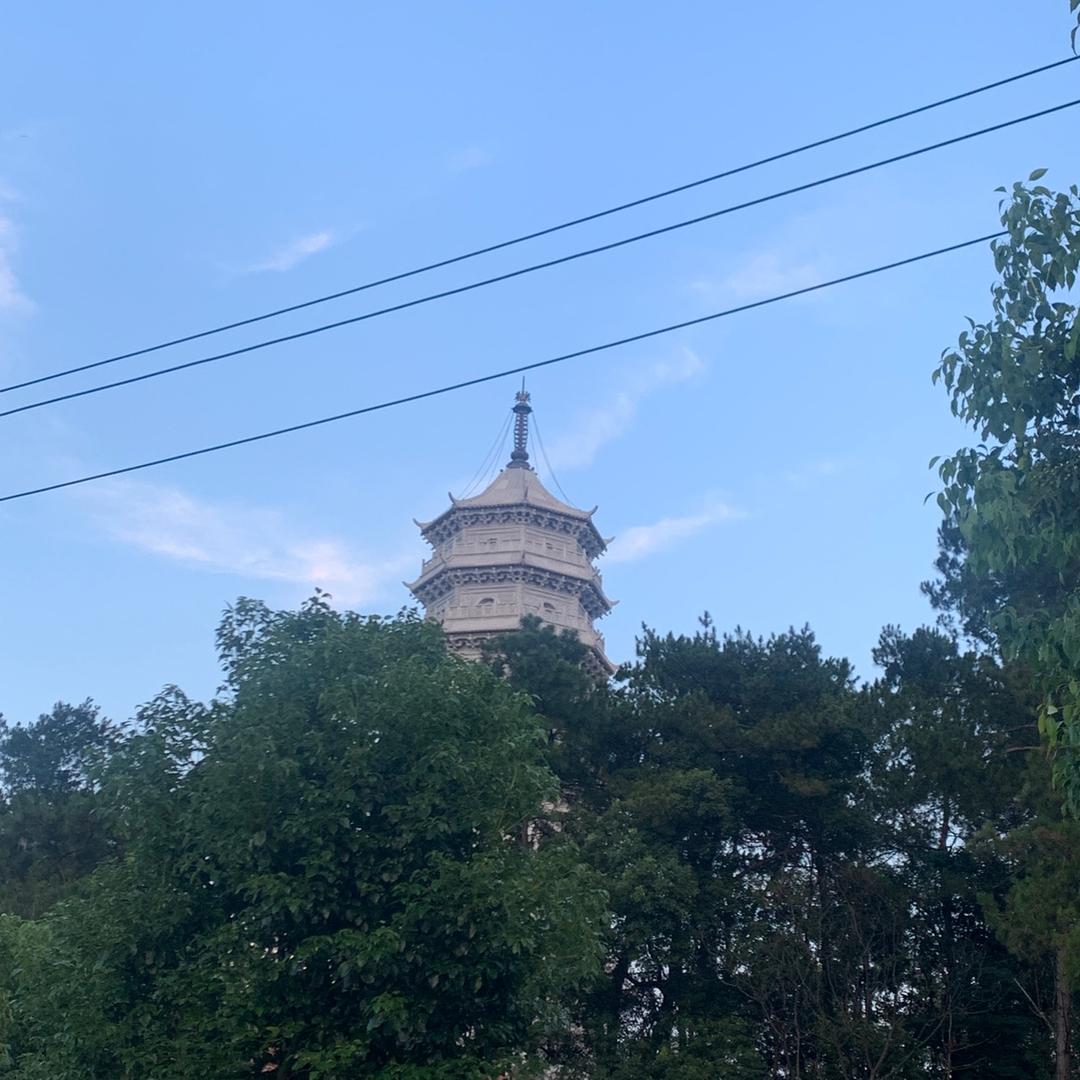 无聊的棕色面条