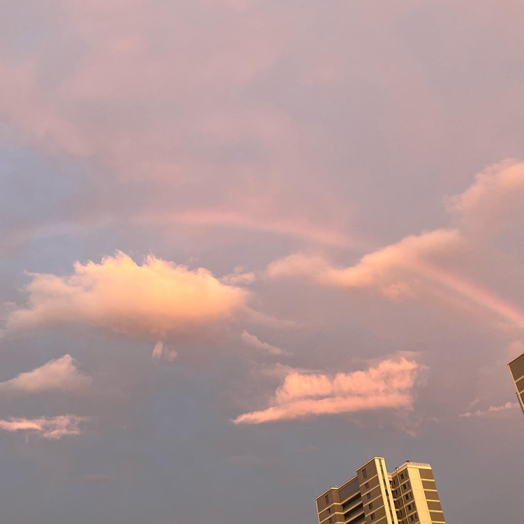 青山.