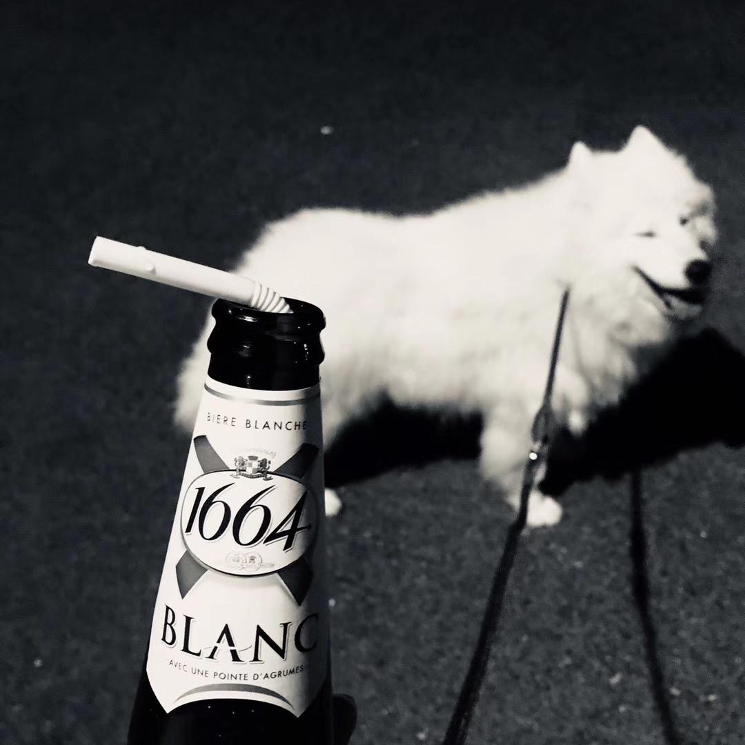 老高和他的朋友们