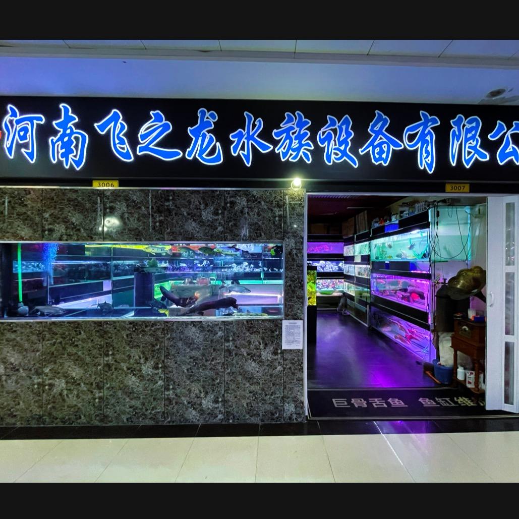 郑州鱼缸清洗维护
