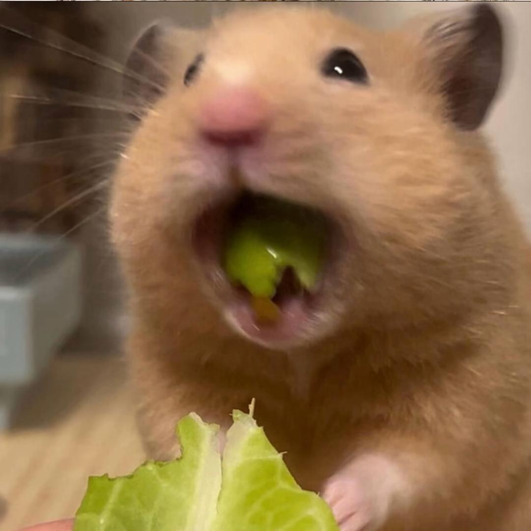 该来了.