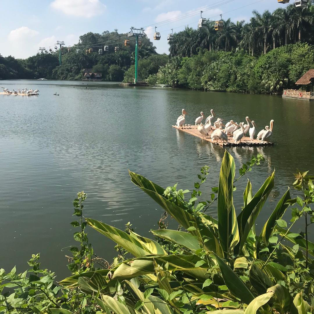 人生沿途看风景