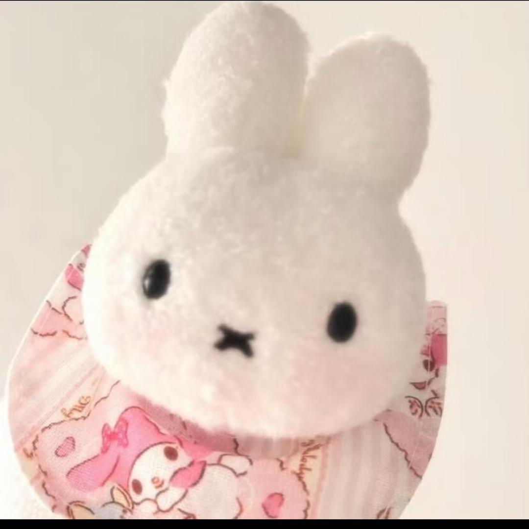 洲州爱吃蛋糕🍰（全国可邮）