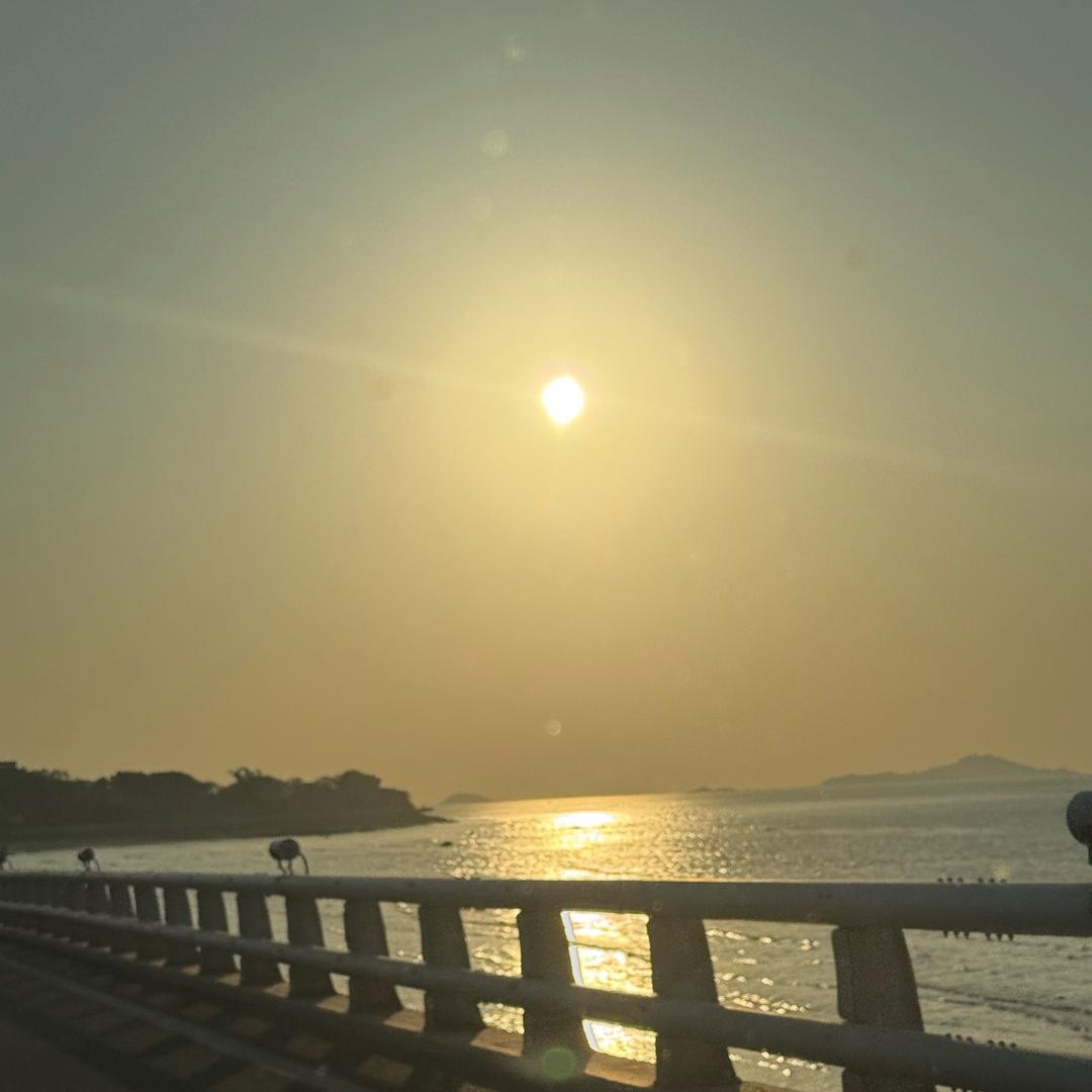 森