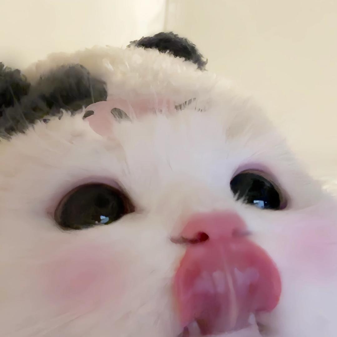 ˶ᵒ ᵕ ˂˶