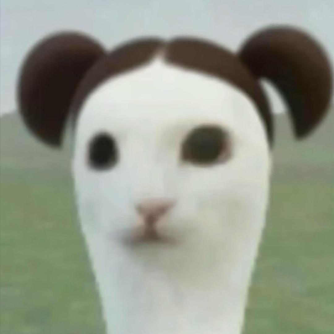 单程车票