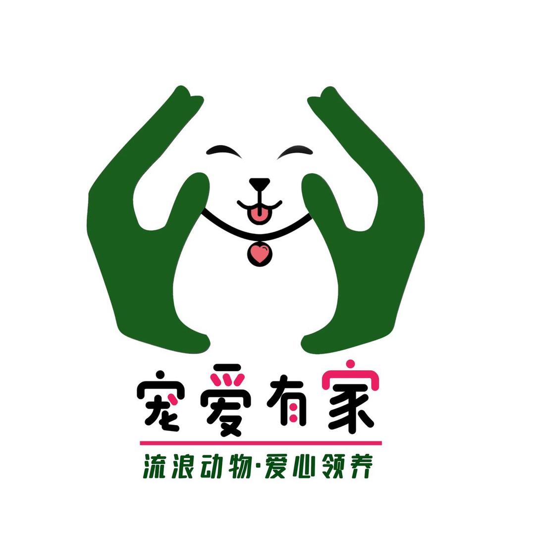 王家丫头@流浪动物爱心领养