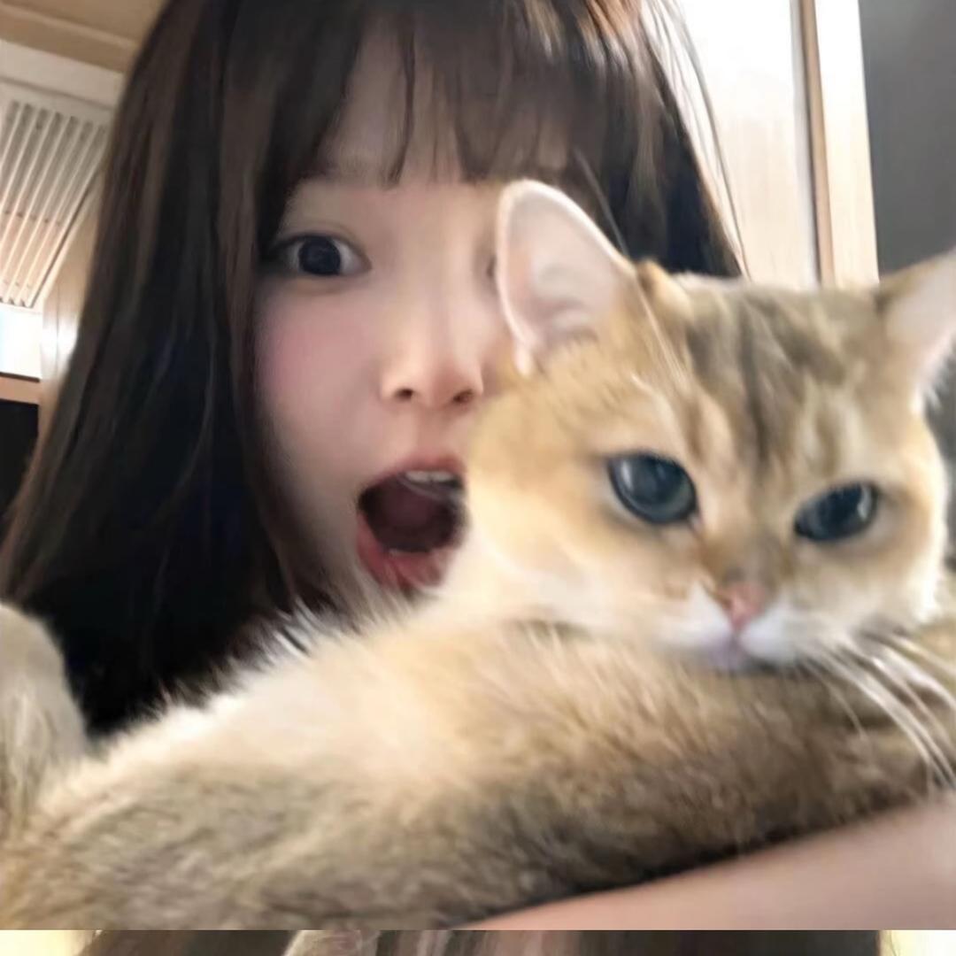 肥肉
