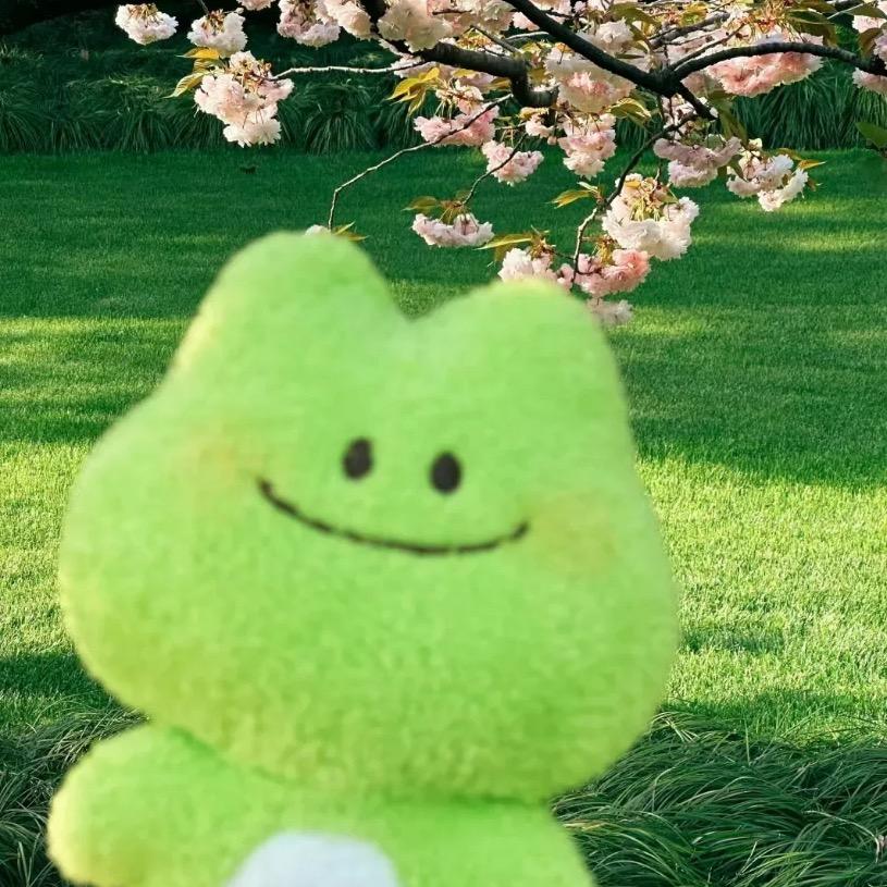 .¿.-.