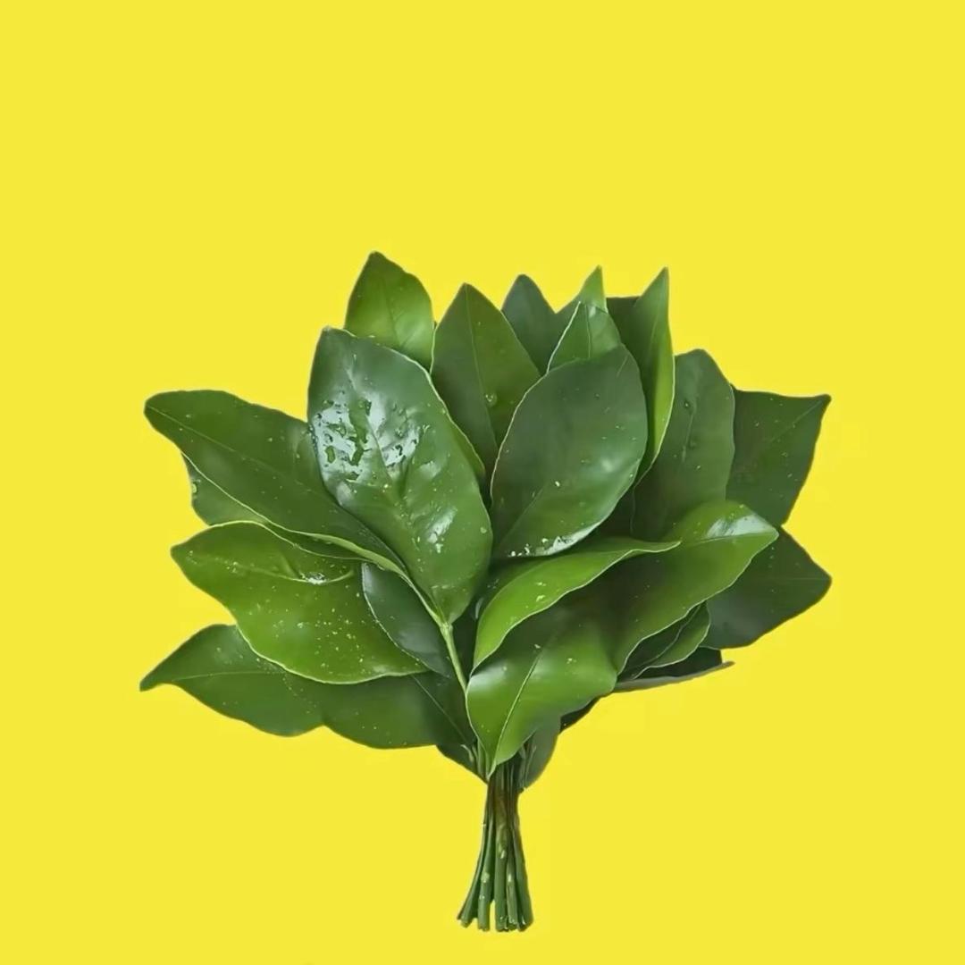 翩然