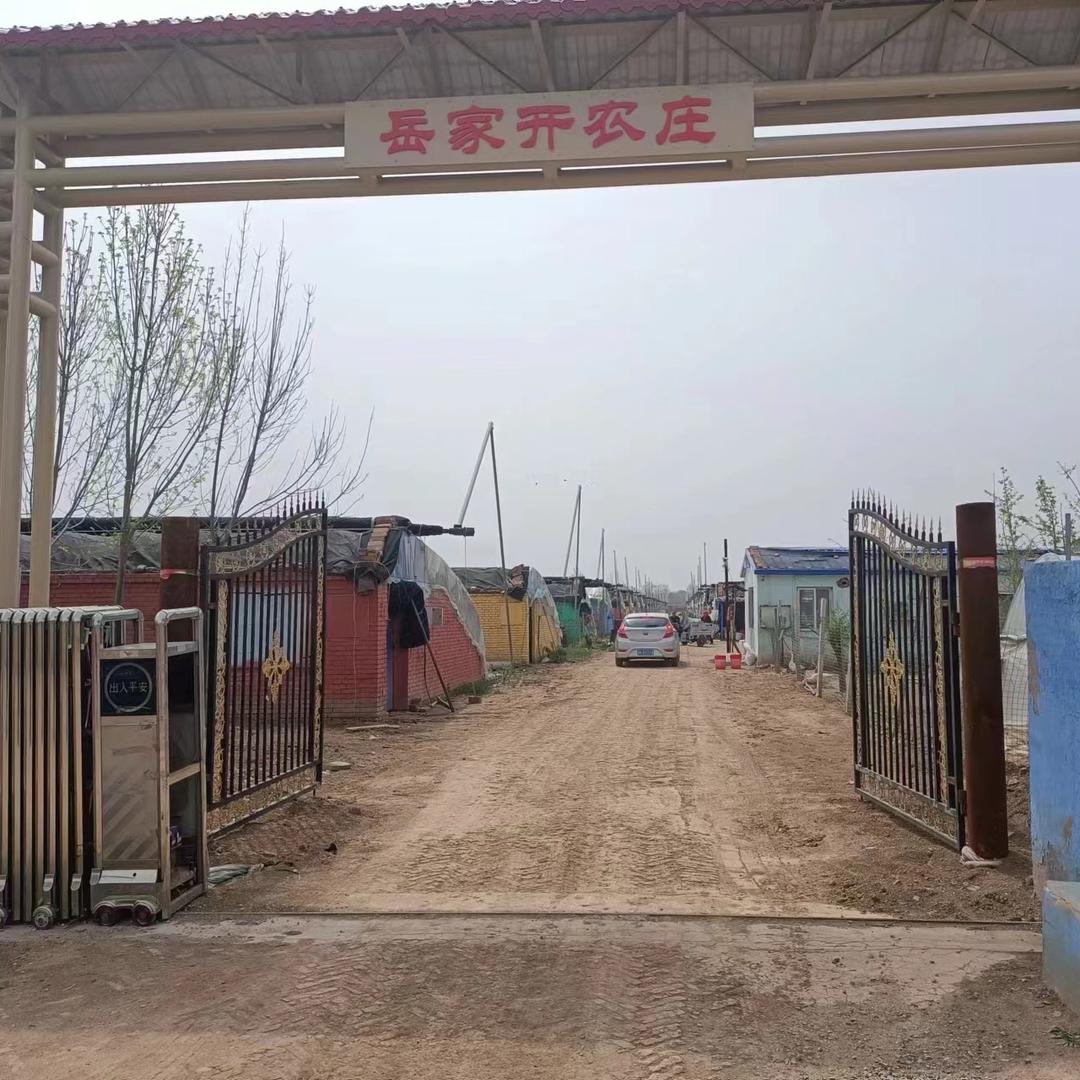 天津米鼎农业