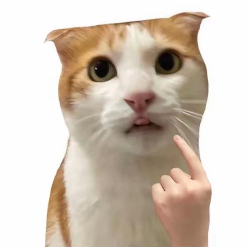 猛踹瘸子那条好腿·