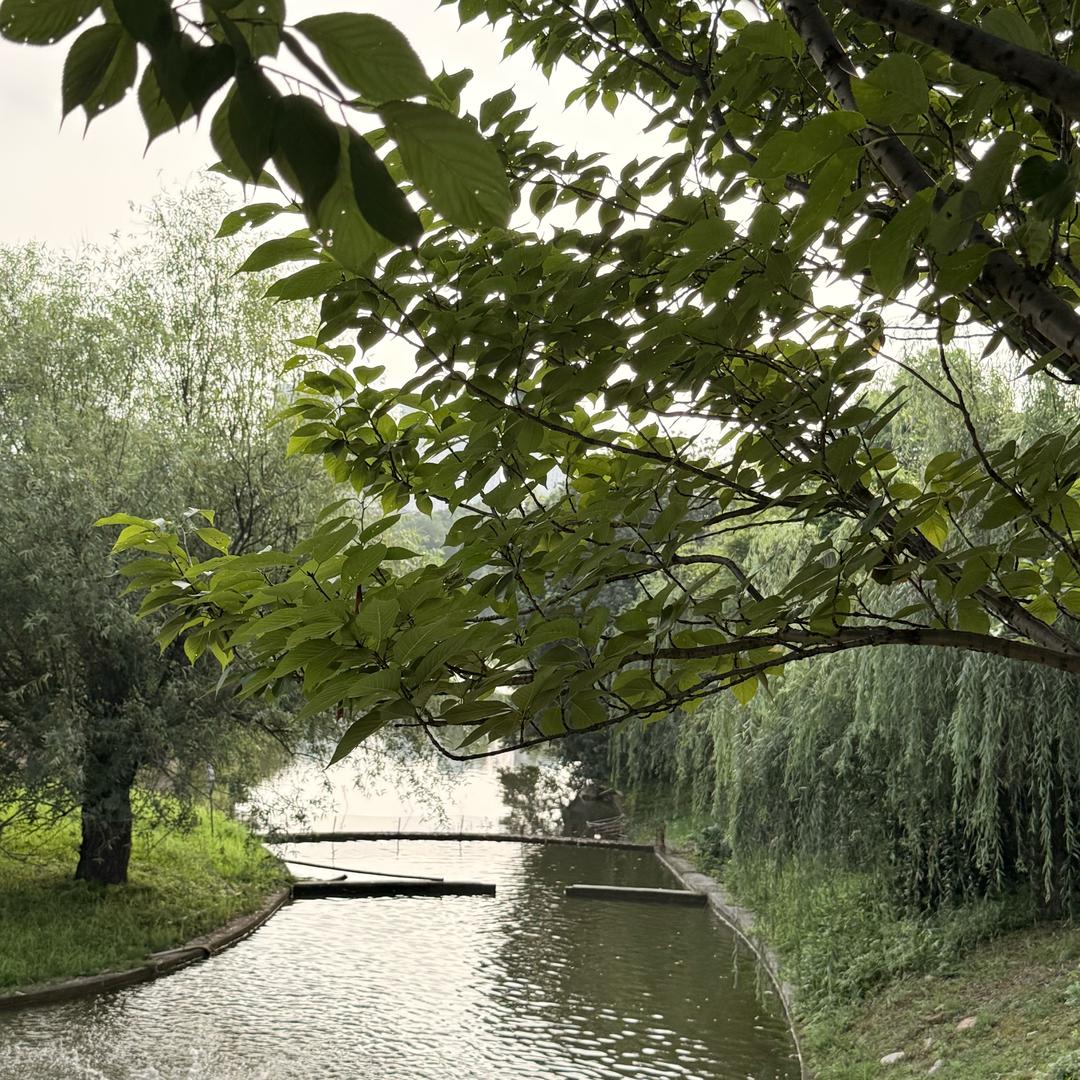 🌷🌸(^O^)^_^平安🥰幸福😊