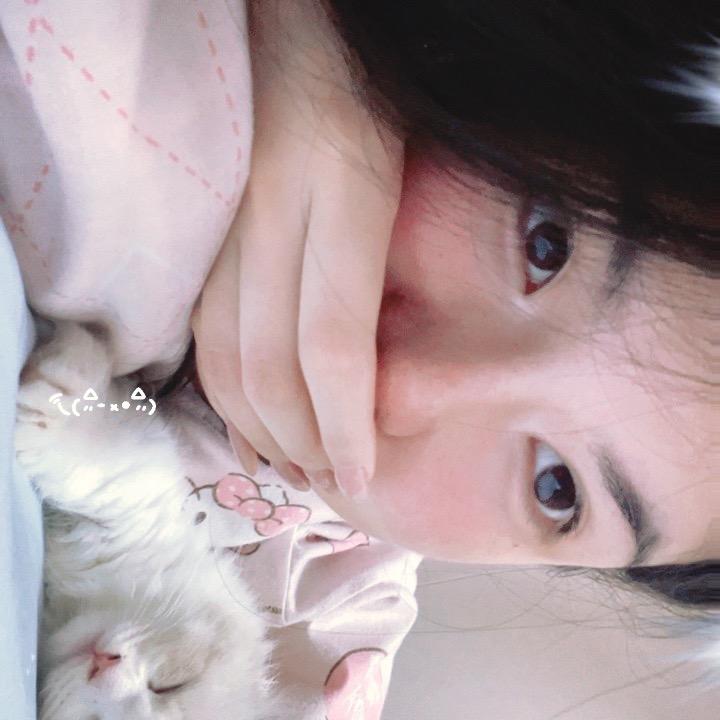 布布大王