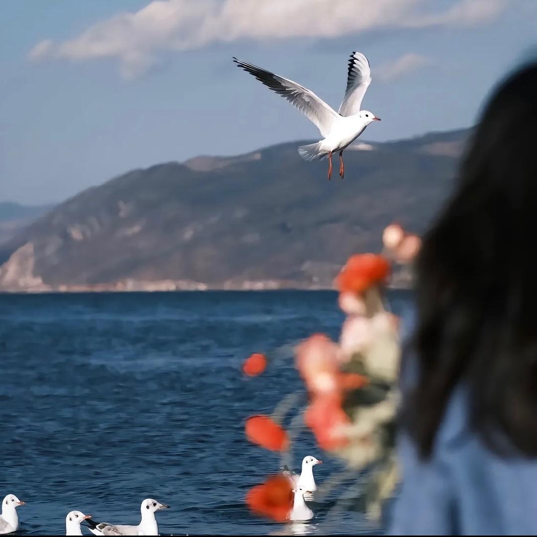 小涵没烦恼