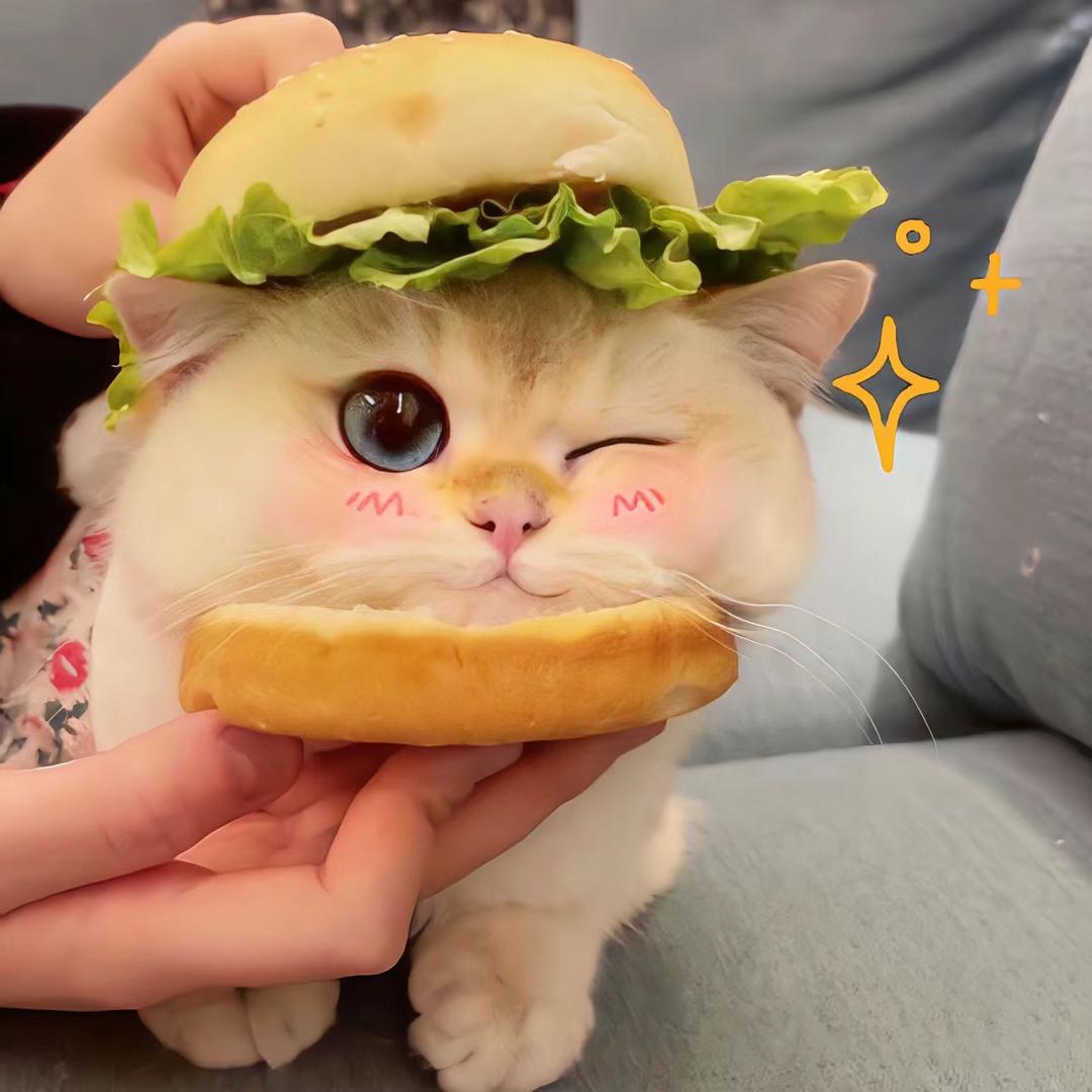 可乐🧸ྀི