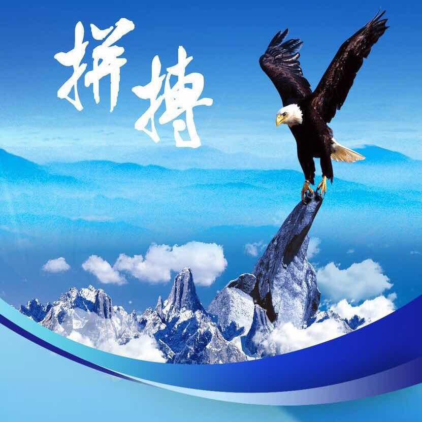 醉坚强