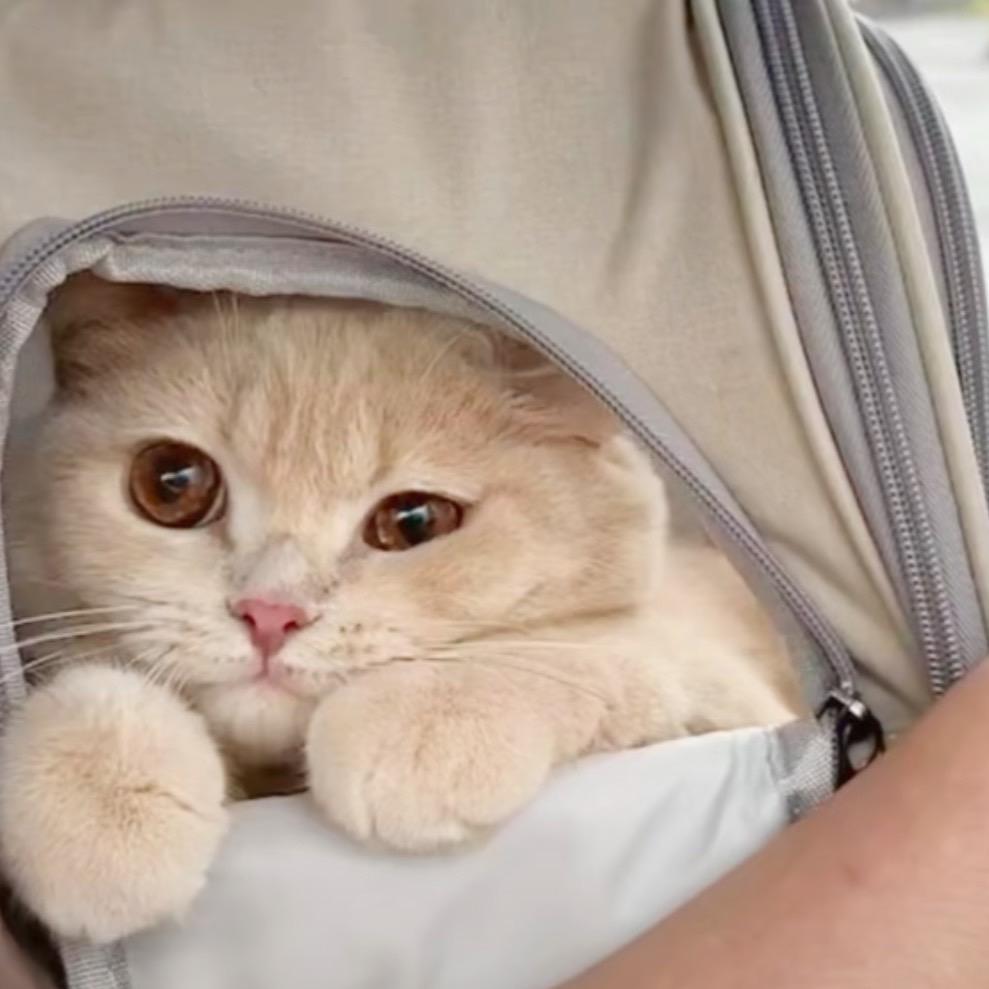 那就当个小朋友吧