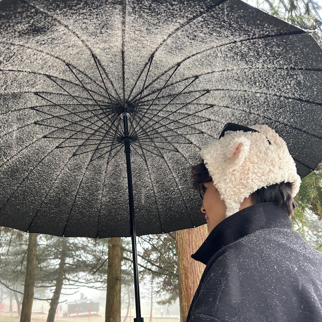 瑞雪水城垫底执行官