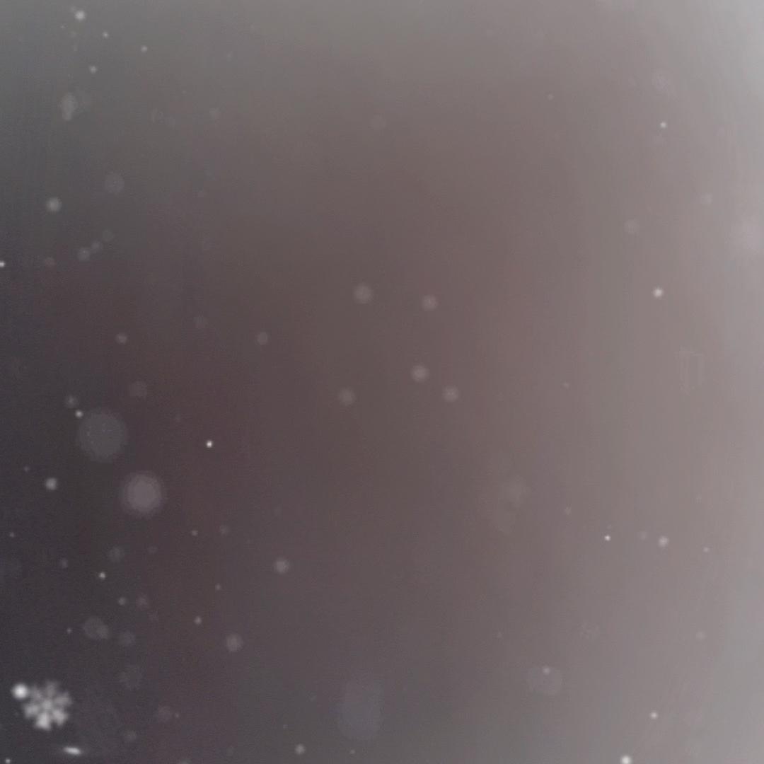 广州小海汽车服务类型