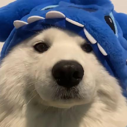 香港🇭🇰杰森（爆炸版）