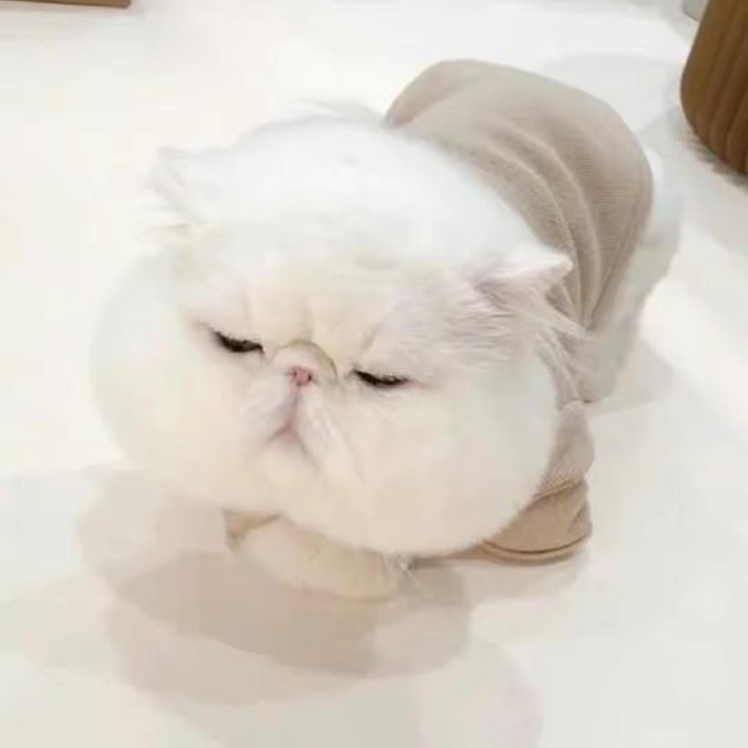 👣L·先生