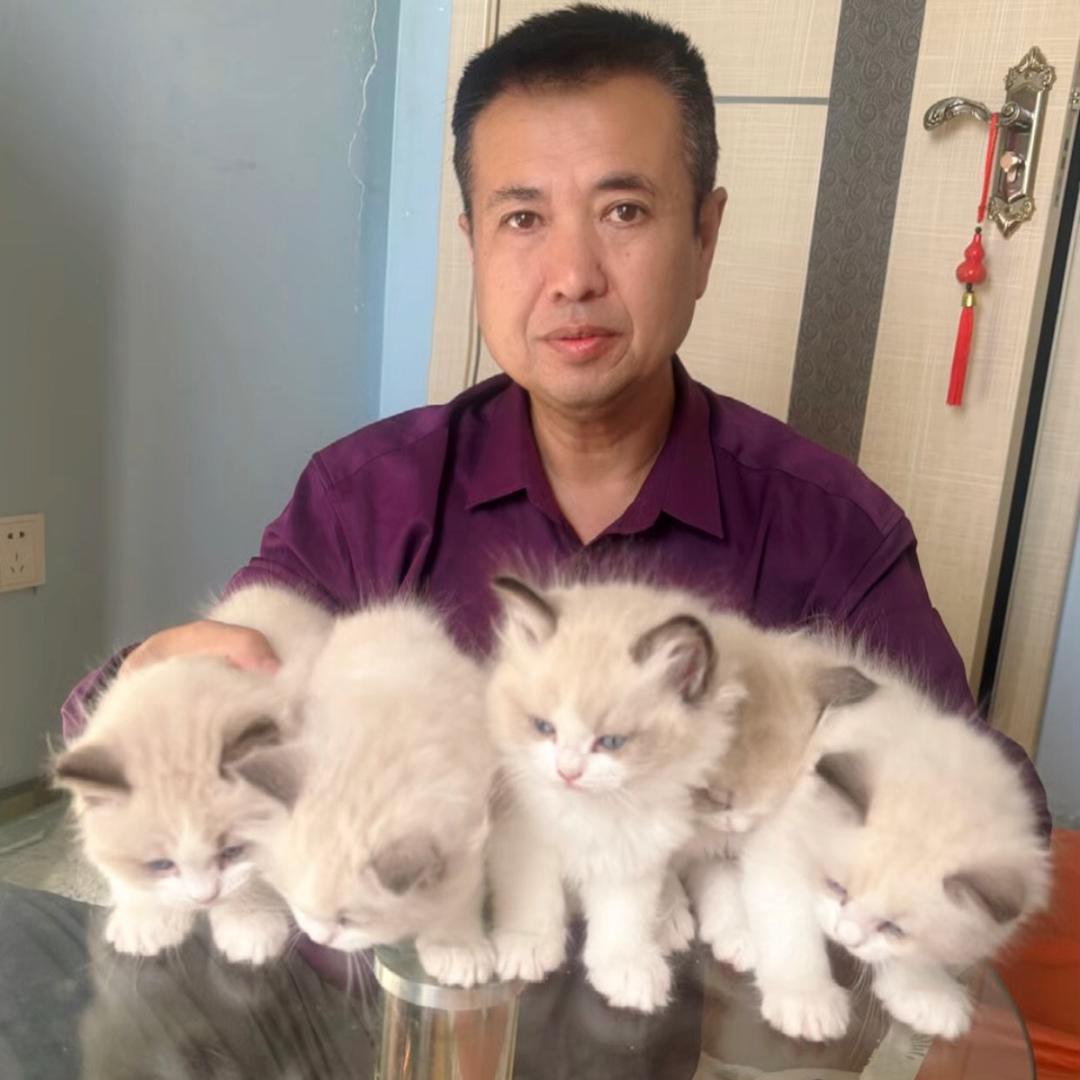 东北老铁猫砂猫粮铺