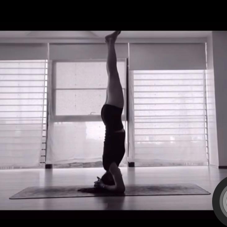 双•Yoga