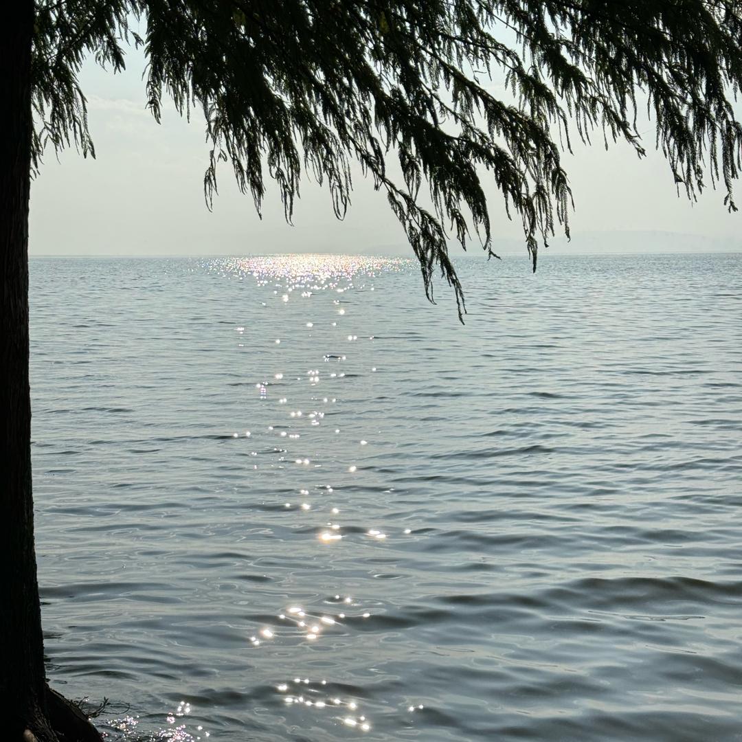 皮肤管理（按摩手法教学）