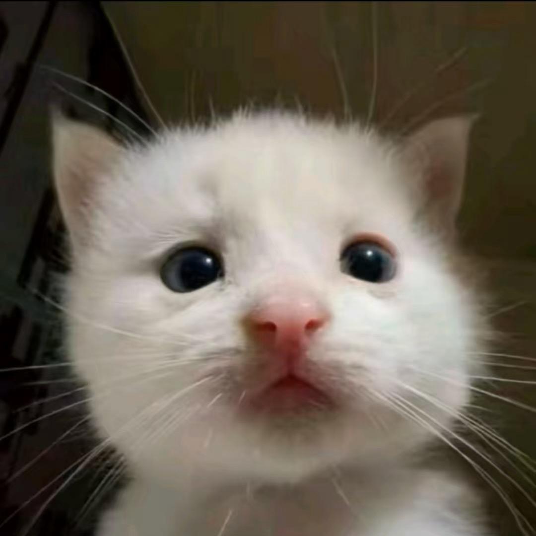 Watson
