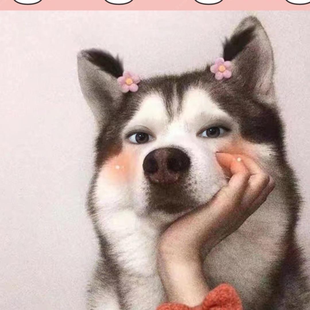 睡不醒a