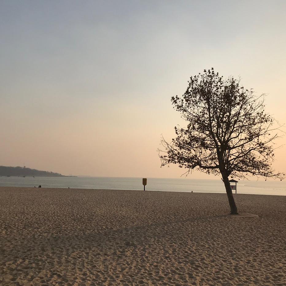 我在海边有个家🏠
