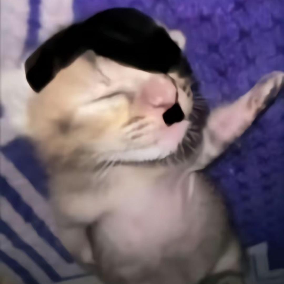 大便の甜蜜