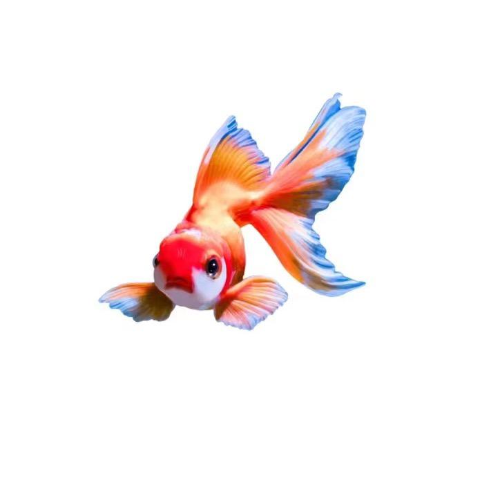 宝青鱼缸工厂店