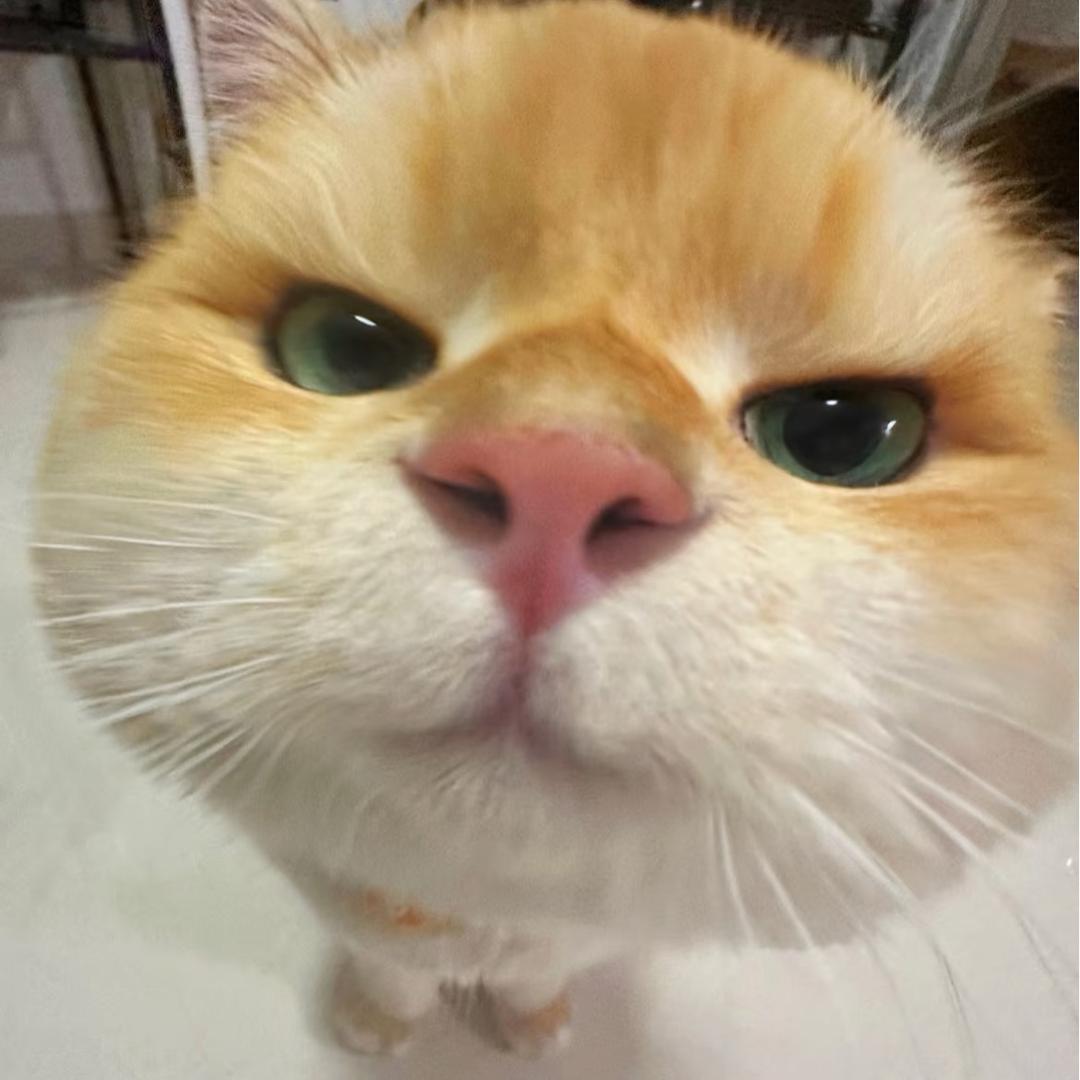 💋酱酱睿👄