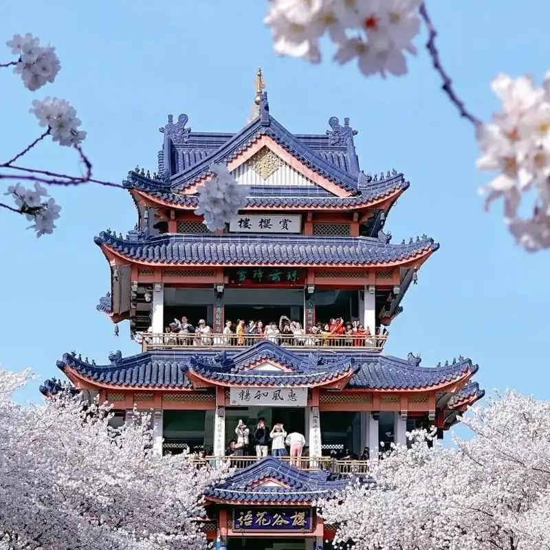 无锡游玩（团购）