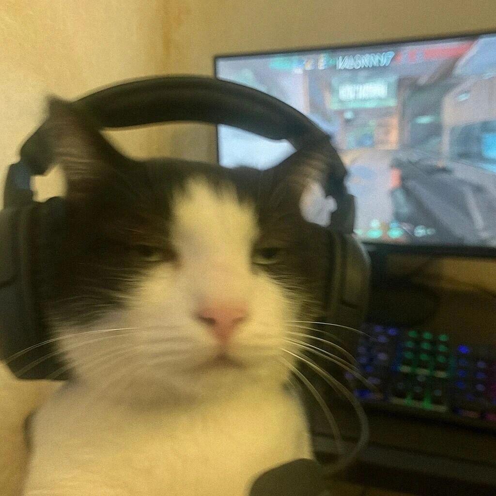 卖报纸的改正规邪阿？