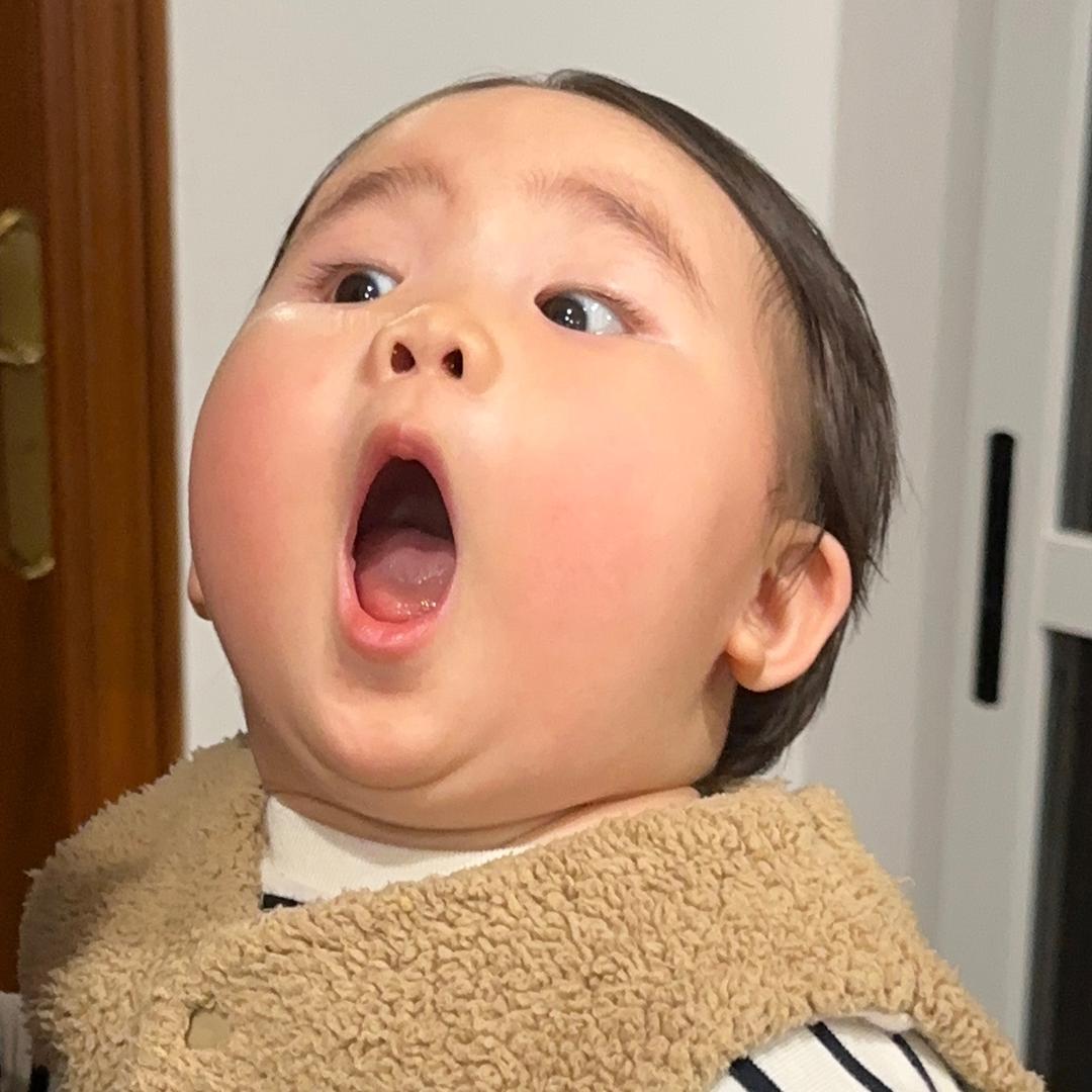 罗汉果
